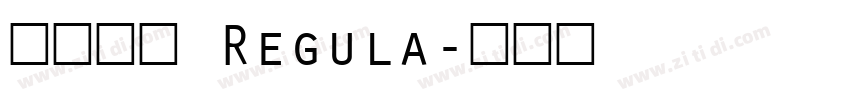 飞花宋体 Regula字体转换